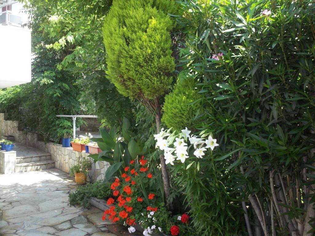 Fotini'S Studios 1 Toroni Exterior photo