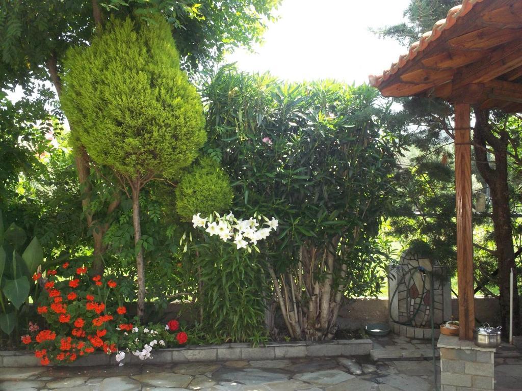 Fotini'S Studios 1 Toroni Exterior photo